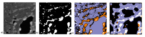 the same electron microscopy image shown using different analysis methods