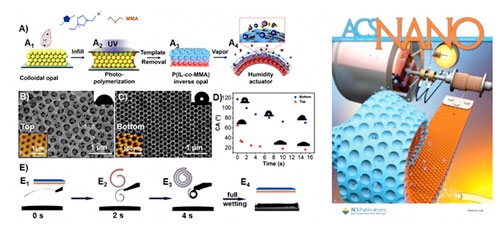Janus photonic crystal film