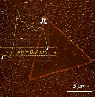 Atomic force microscopy image of two-dimensional tungsten disulfide