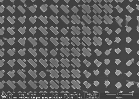 SEM Image of Nanofins