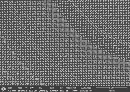 SEM Image of Nanofins