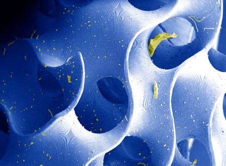 Internal topology of 3D printed piezoelectrics spanning the width of human hair