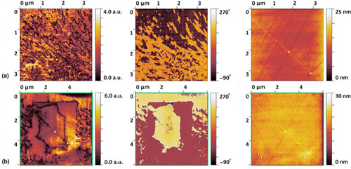 Ferroelectric single-crystal-architecture-in-glass