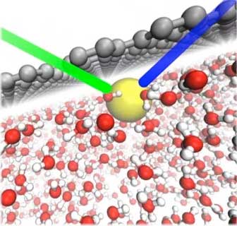 In water (red and white structures), the direct interaction between graphene (gray) and a thiocyanate (SCN–) ion (yellow) causes the ion to adsorb to the surface