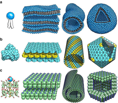self-assembling nanomaterials