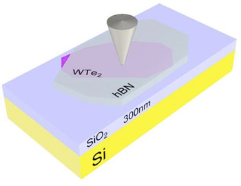 measurement setup for edge conduction on monolayer