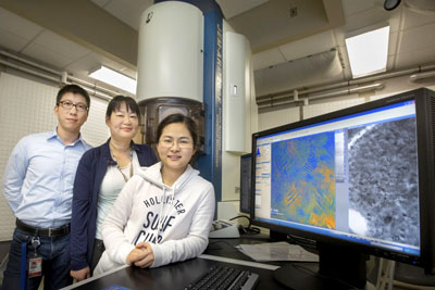 FSU Assistant Professor of Physics Hanwei Gao, National MagLab researcher Yan Xin and FSU graduate student Xi Wang