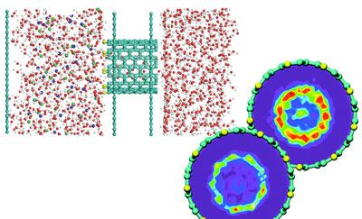 Water desalination through rim functionalized carbon nanotubes