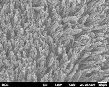 A scanning electron microscope image shows a composite of laser-induced graphene and polystyrene