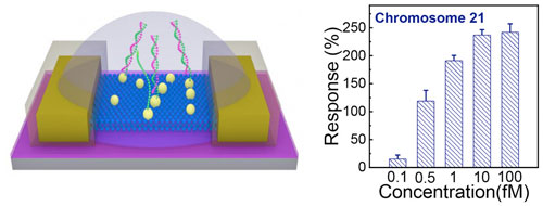 Ultrasensitive Monolayer MoS2 Field-Effect Transistor Based DNA Sensors for Screening of Down Syndrome