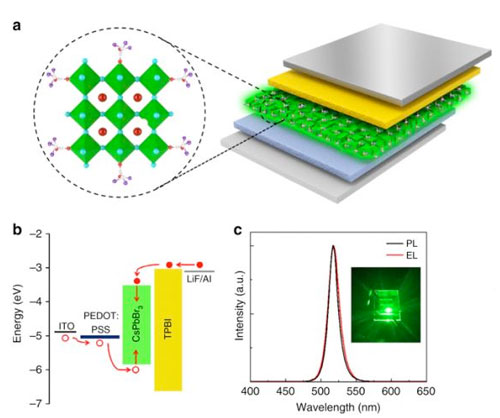 Device Structure of PeLEDs