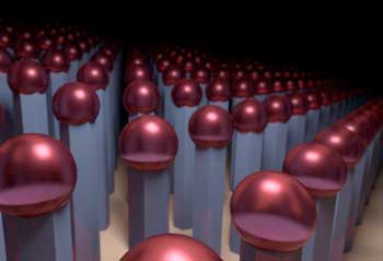 nanowires on silicon surfaces