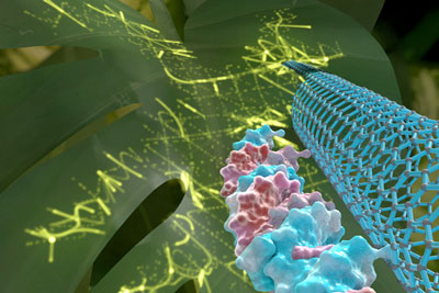 graphic showing DNA, nanotube and leaf