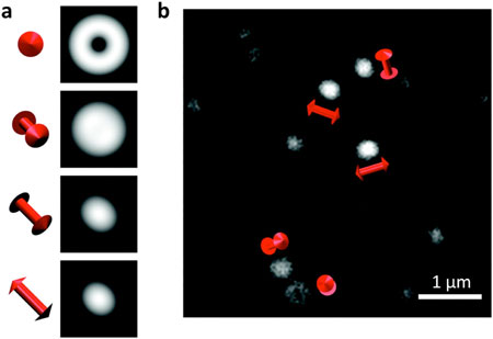 Single Molecules on the Verge of Failure