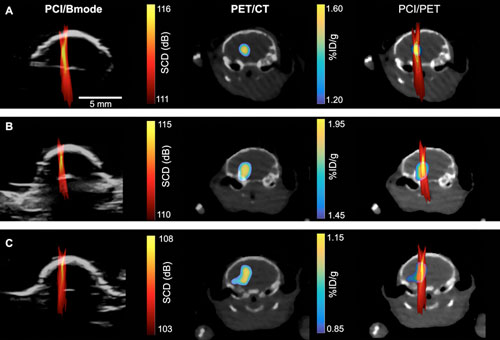cavitation and PET images