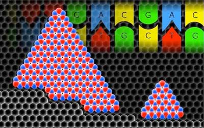 complementarity between growing hexagonal boron nitride crystals and a stepped substrate mimics the complementarity found in strands of DNA