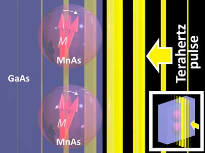  Large terahertz magnetization response in ferromagnetic nanoparticles