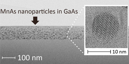 Transmission electron microscope images of MnAs nanoparticles in GaAs