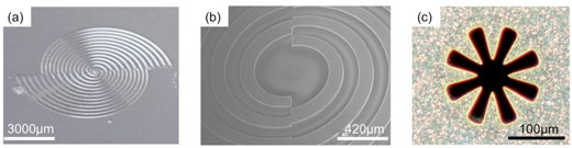 Images of Spiral Plasmonic Structure