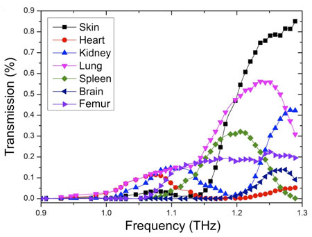 Terahertz Transmission Spectra of Bio-Samples