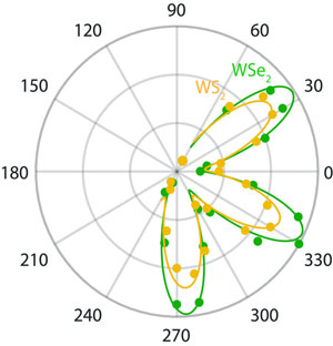 The large potential energy of three distinct exciton states in a 2D tungsten disulfide/tungsten diselenide device could introduce exotic quantum phenomena into semiconducting materials