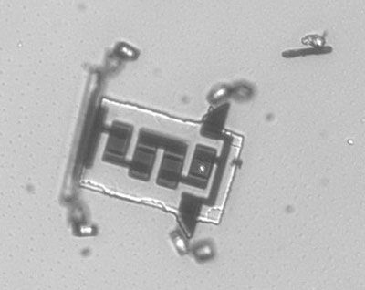 cell-sized microrobot