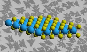 illustration of the atomic structure of a 2D material called tungsten disulfide