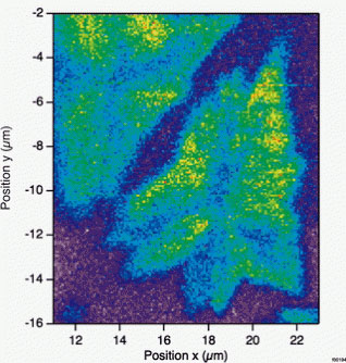 scan of arrow-shaped flakes of a 2D material