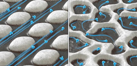 Schematic depictions of membranes with ordered (left) and disordered (right) channel structures