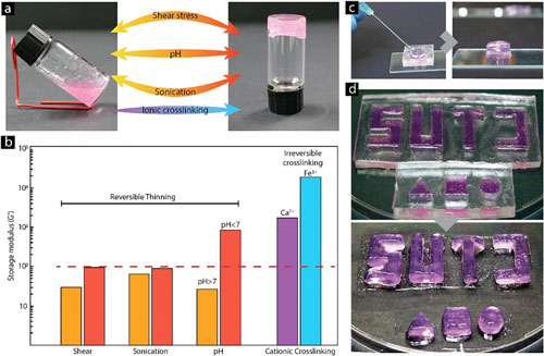 Characterization of cellulose nanofiber Thixotropy