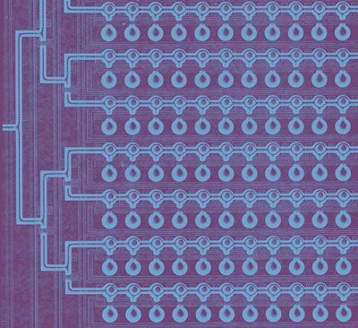 Microfluidic Device