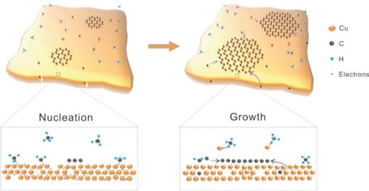 Nucleation and growth of graphene on liquid Cu