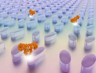 biomolecules on a photonic chip