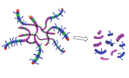 A polymer that can both self-assemble into star-shaped nanoparticles and break down when no longer needed