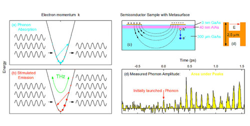 Amplifier for terahertz lattice vibrations in a semiconductor crystal