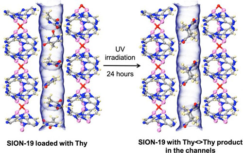 SION-19, a Biologically Derived MOF Based on Adenine