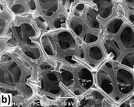 porous graphene foam