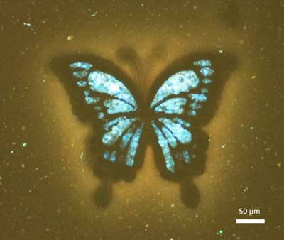 Figure shows a multicolour butterfly design which is made by patterning recovered carbon black in ambient and helium environments.