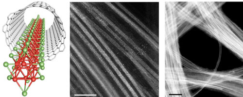 schematic and electron microscopy images of single wires of molybdenum telluride formed inside carbon nanotubes