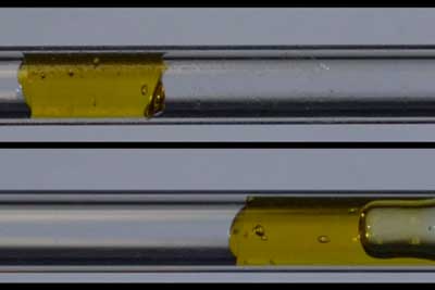 A gel-like yield stress fluid moves as a plug without shearing in a tube