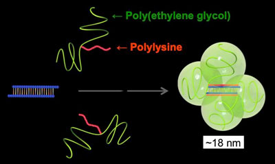 Components of a Nanomachine