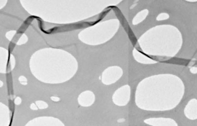 The one-atom thick phoshporene ribbons twisting through a carbon grid