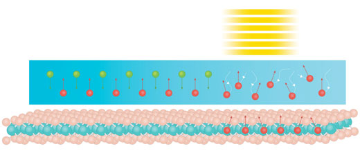 Out-of-equilibrium excitation can enable efficient spin injection from a ferromagnetic metal (Co) into a semiconductor (MoS2)