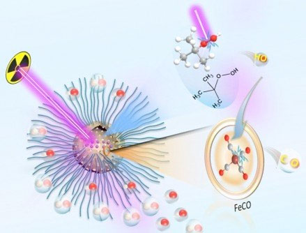 Upon radiation the nanoparticle produces oxygen free radicals and carbon monoxide, which kill cancer cells in the low-oxygen core of tumors