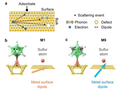 Plasmon damping depends on the chemical nature of the nanoparticle interface