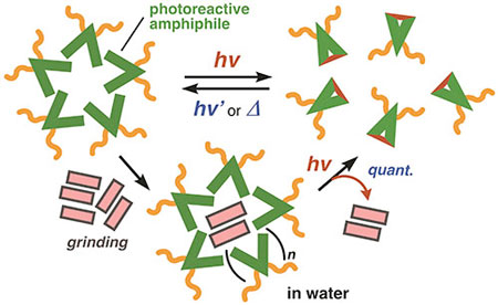 The nanosized container quantitatively releases the cargo upon light-stimulus