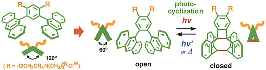 Design of the new amphiphilc compound bearing a photoswitch