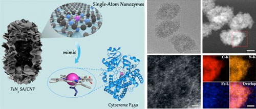 Single-Atom Nanozymes