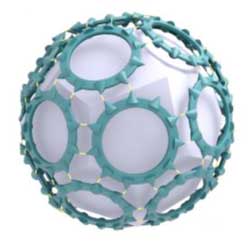 protein nanocage
