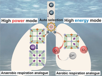 auto-switchable dual-mode seawater energy extraction system
